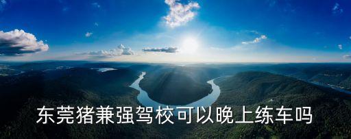 東莞駕校可以晚上學車嗎，東莞大嶺山是否可以晚上學車的駕校