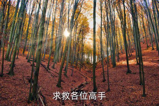 求救各位高手