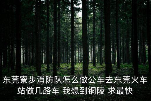 東莞寮步消防隊(duì)怎么做公車去東莞火車站做幾路車 我想到銅陵 求最快