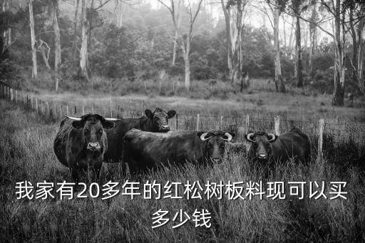 東北紅松木板材東莞，紅松木板多少錢一方