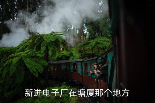 東莞塘廈鎮(zhèn)大新工業(yè)區(qū)，東莞塘廈鎮(zhèn)內(nèi)有那些工業(yè)區(qū)