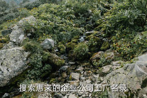 東莞龍洋服飾，搜索惠來的企業公司工廠名錄