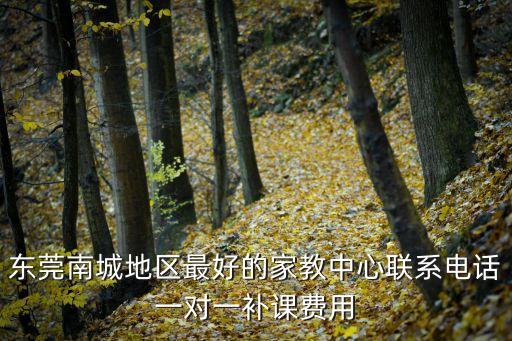 東莞南城地區(qū)最好的家教中心聯(lián)系電話一對一補課費用