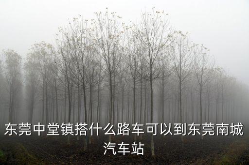 東莞中堂到東莞南站有多少公里，中堂車站離東莞總站有多遠路程