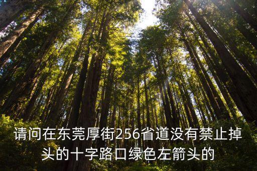 東莞街十字路口，東莞石排赤坎東江大道深巷市場紅綠燈有幾個(gè)有用的