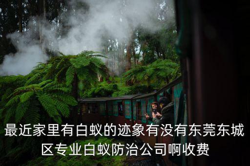 東莞辦公室白蟻防治價位，白蟻防治費多少