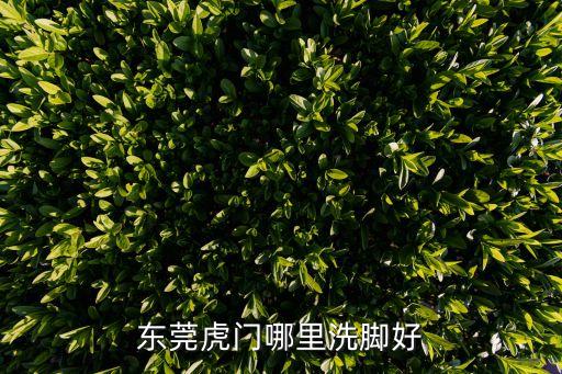 東莞虎門哪里洗腳好