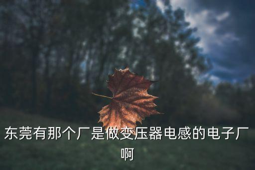 東莞有那個廠是做變壓器電感的電子廠啊