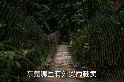 東莞哪里有外貿(mào)雨鞋賣