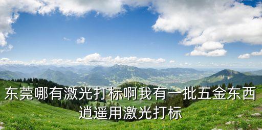 東莞沙井光纖激光打標機，東莞哪有激光打標啊我有一批五金東西逍遙用激光打標