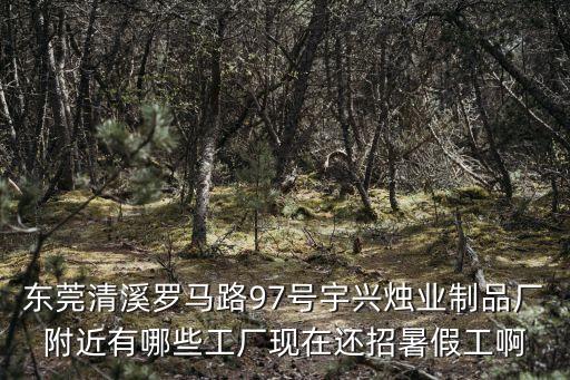 東莞清溪羅馬路97號宇興燭業制品廠附近有哪些工廠現在還招暑假工啊