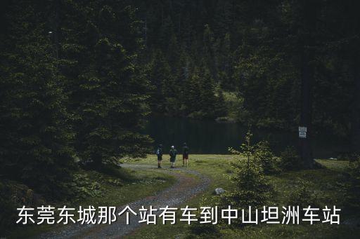 東莞東城那個(gè)站有車到中山坦洲車站