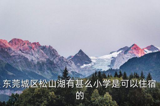 東莞祥利花園小學，廣東省東莞市樟木頭的一所小學有校服求這所些小的名字100分