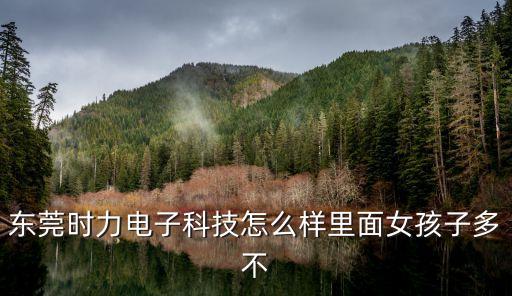 東莞時力電子科技怎么樣里面女孩子多不