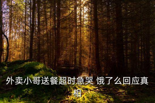 外賣小哥送餐超時(shí)急哭 餓了么回應(yīng)真相