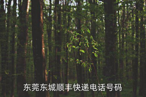 東莞東城順豐快遞電話號碼