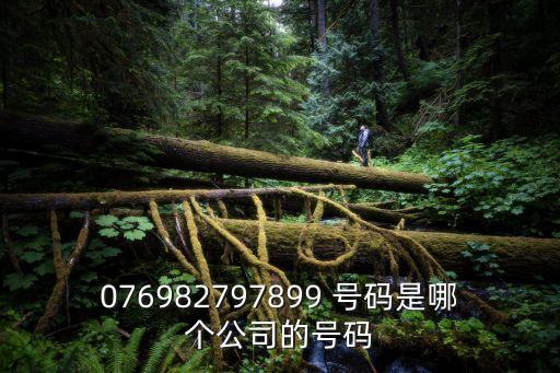 076982797899 號碼是哪個公司的號碼