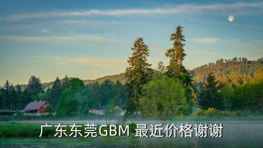 廣東東莞GBM 最近價格謝謝