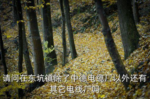 東莞東坑鎮(zhèn)附近的工廠，請(qǐng)問(wèn)在東坑鎮(zhèn)除了中德電纜廠以外還有其它電線廠嗎