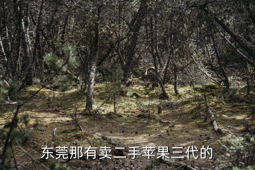東莞那有賣二手蘋果三代的