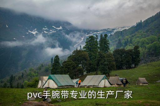 pvc手腕帶專業(yè)的生產(chǎn)廠家