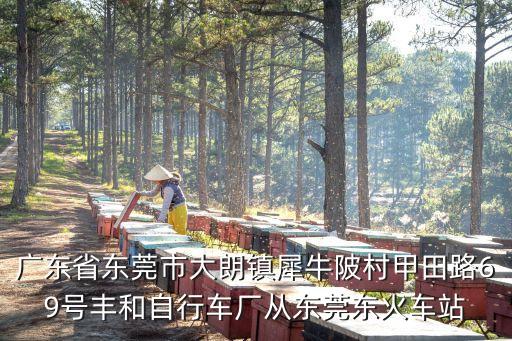 廣東省東莞市大朗鎮犀牛陂村甲田路69號豐和自行車廠從東莞東火車站