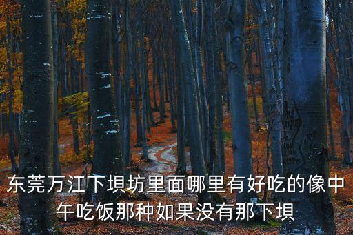 東莞萬江美食街哪里好，東莞萬江下垻坊里面哪里有好吃的像中午吃飯那種如果沒有那下垻