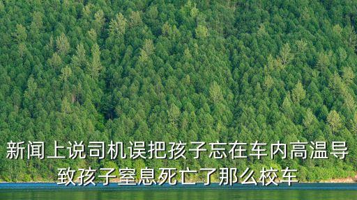 廣州兩男孩在他人車內窒息，羊城晚報報道一個2歲小孩被兩輛車壓過有15人見死不幫僅