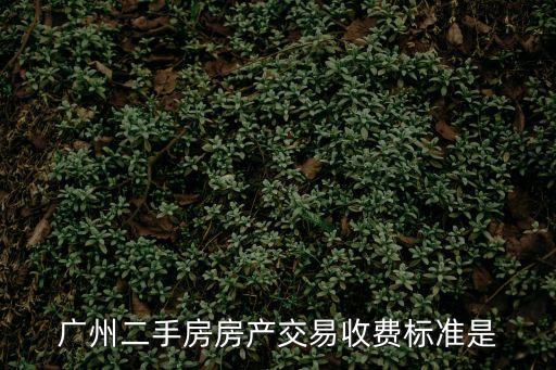 廣州二手房房產(chǎn)交易收費標準是