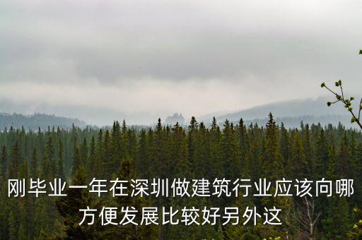 深圳建筑行業(yè)如何，剛畢業(yè)一年在深圳做建筑行業(yè)應(yīng)該向哪方便發(fā)展比較好另外這