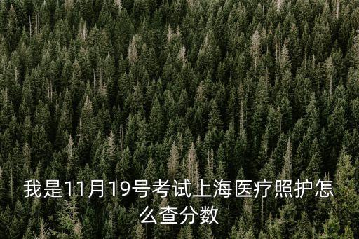 我是11月19號考試上海醫療照護怎么查分數