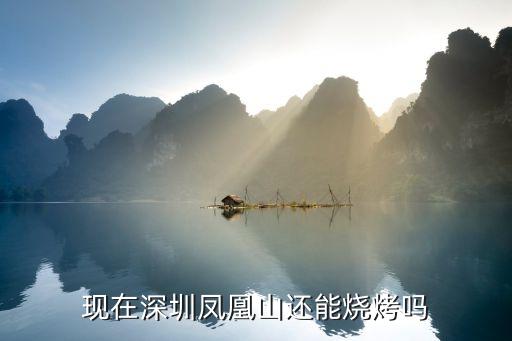 深圳鳳凰山可以自己帶東西吃嗎，請問深圳市寶安區福永風凰山的燒烤場是不是自帶食物的