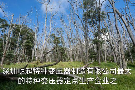深圳崛起特種變壓器制造有限公司最大的特種變壓器定點生產企業之