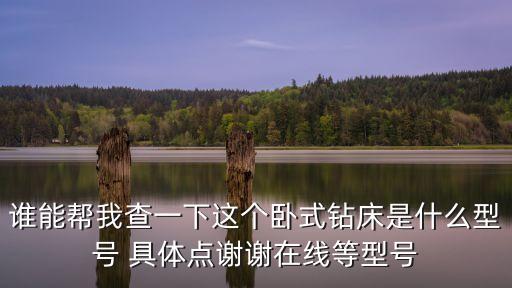 深圳臥式多軸木工鉆床，鉆床有沒有臥式的