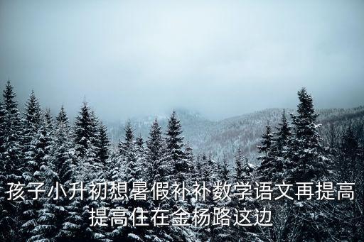 上海市金楊中學(xué)顧義偉，上海金楊中學(xué)