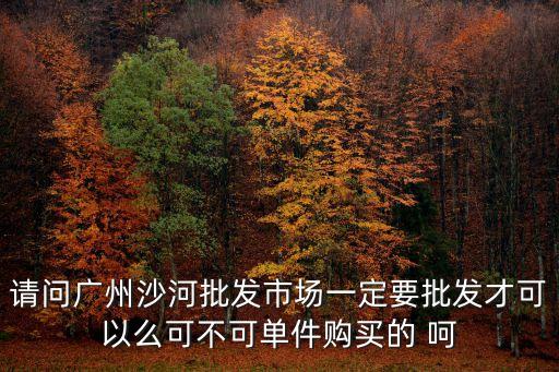 請問廣州沙河批發(fā)市場一定要批發(fā)才可以么可不可單件購買的 呵