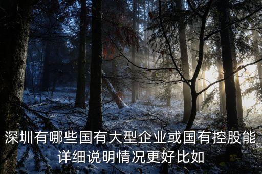 深圳有哪些國有大型企業(yè)或國有控股能詳細(xì)說明情況更好比如