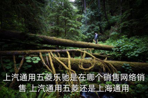 上汽通用五菱樂馳是在哪個銷售網(wǎng)絡銷售 上汽通用五菱還是上海通用