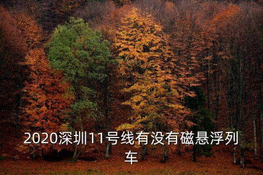 深圳懸浮地鐵列車，磁懸浮列車每小時可以行駛多少千米