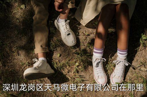 深圳市龍崗區坪山天馬，深圳龍崗天馬廠