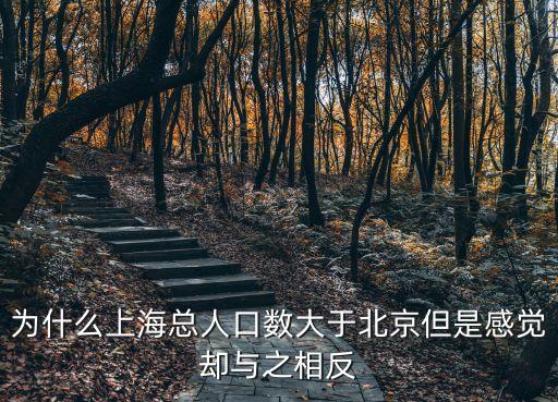 為什么上海總人口數大于北京但是感覺卻與之相反