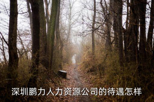深圳鵬鑫人力中介怎么樣，想問(wèn)下深圳鵬勞人力資源公司介紹的工作好不好