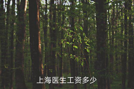 上海醫生工資多少