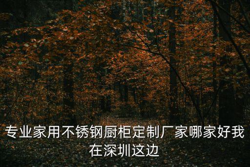 深圳304c型鋼哪家好，專業家用不銹鋼廚柜定制廠家哪家好我在深圳這邊