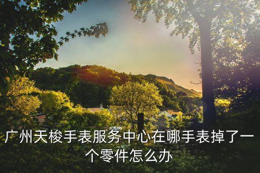 廣州天梭手表服務(wù)中心在哪手表掉了一個零件怎么辦