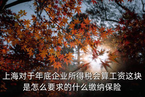 上海市的企業(yè)所得稅，上海對于年底企業(yè)所得稅會算工資這塊是怎么要求的什么繳納保險