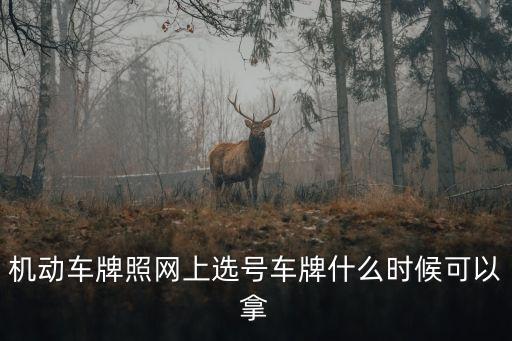 機動車牌照網上選號車牌什么時候可以拿
