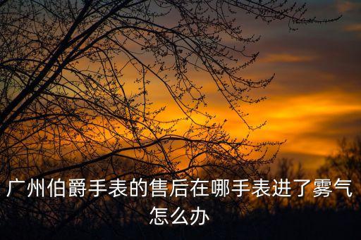 廣州伯爵手表的售后在哪手表進(jìn)了霧氣怎么辦