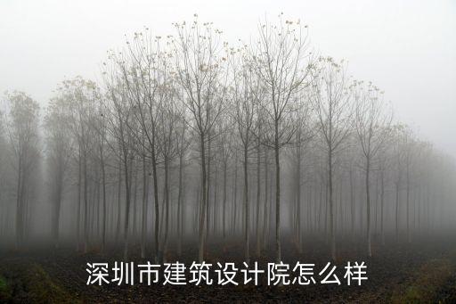 深圳市建筑設計院怎么樣