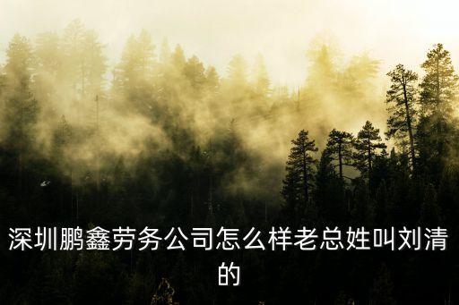深圳鵬鑫勞務(wù)公司怎么樣老總姓叫劉清的